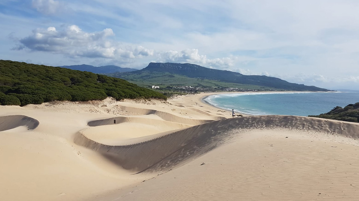 Tarifa Tarifa